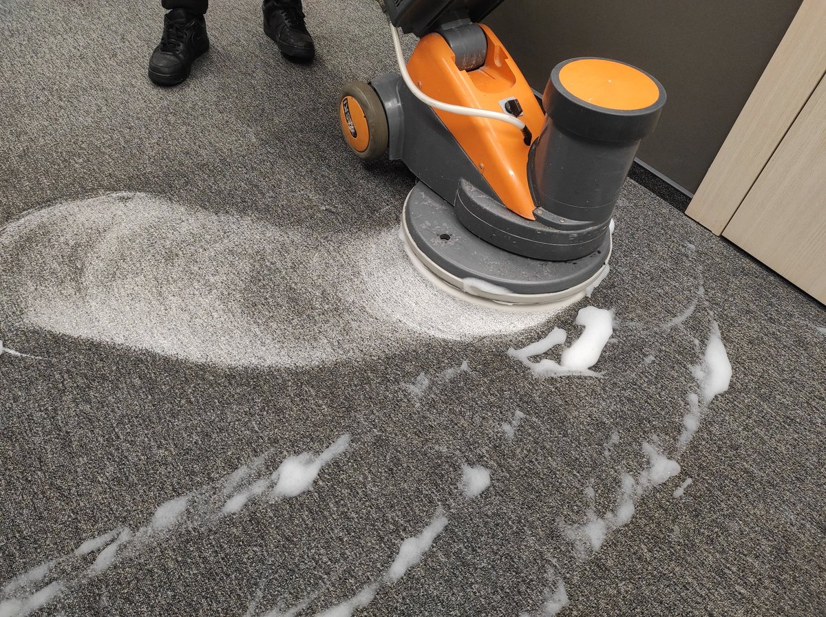 Professional carpet floor cleaning