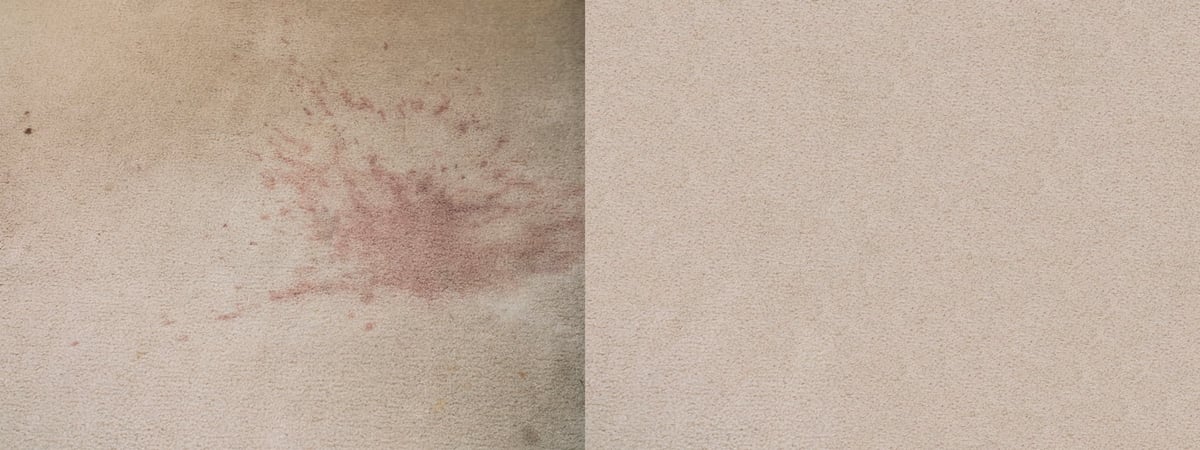 Carpet before and after cleaning showing wine stain removed